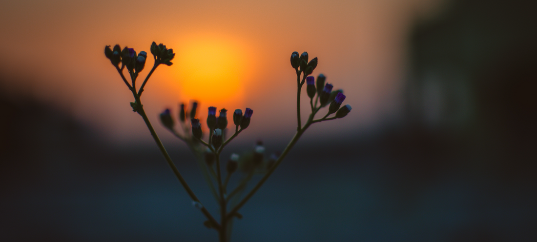 Reason To Try Going Dry #3: You Will Develop A Whole New Relationship With Mornings