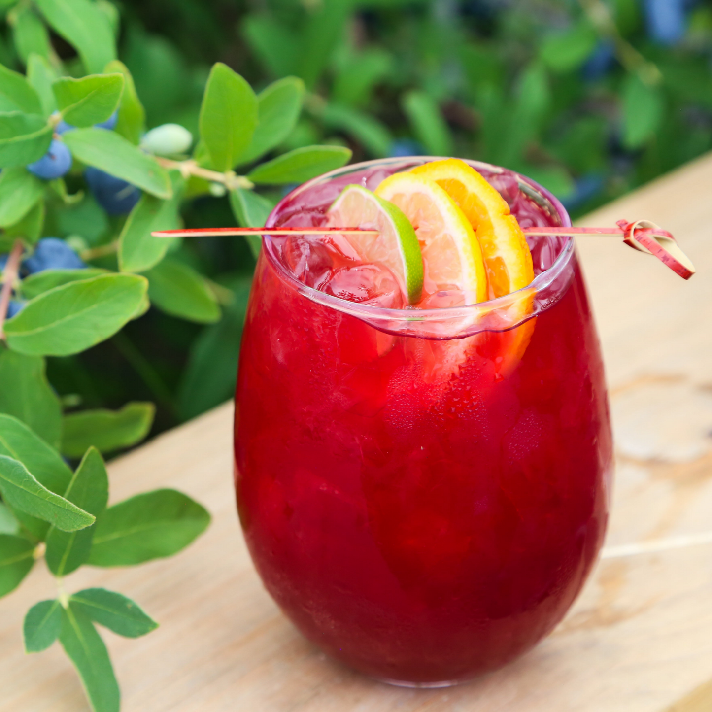 Distemperance Haskap Citrus Chili Sangria Case (12 Units) - Token Bitters