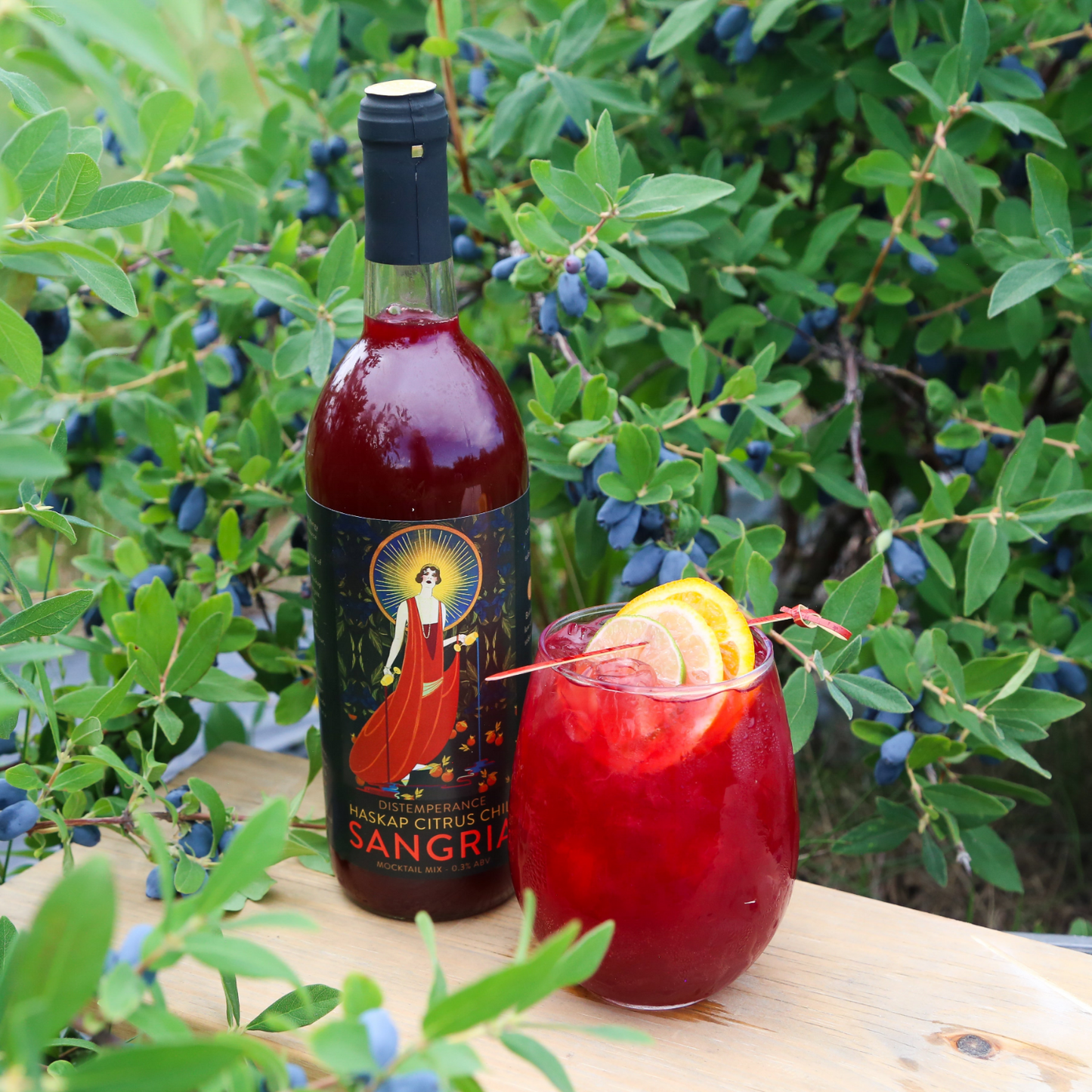 Distemperance Haskap Citrus Chili Sangria Case (12 Units) - Token Bitters