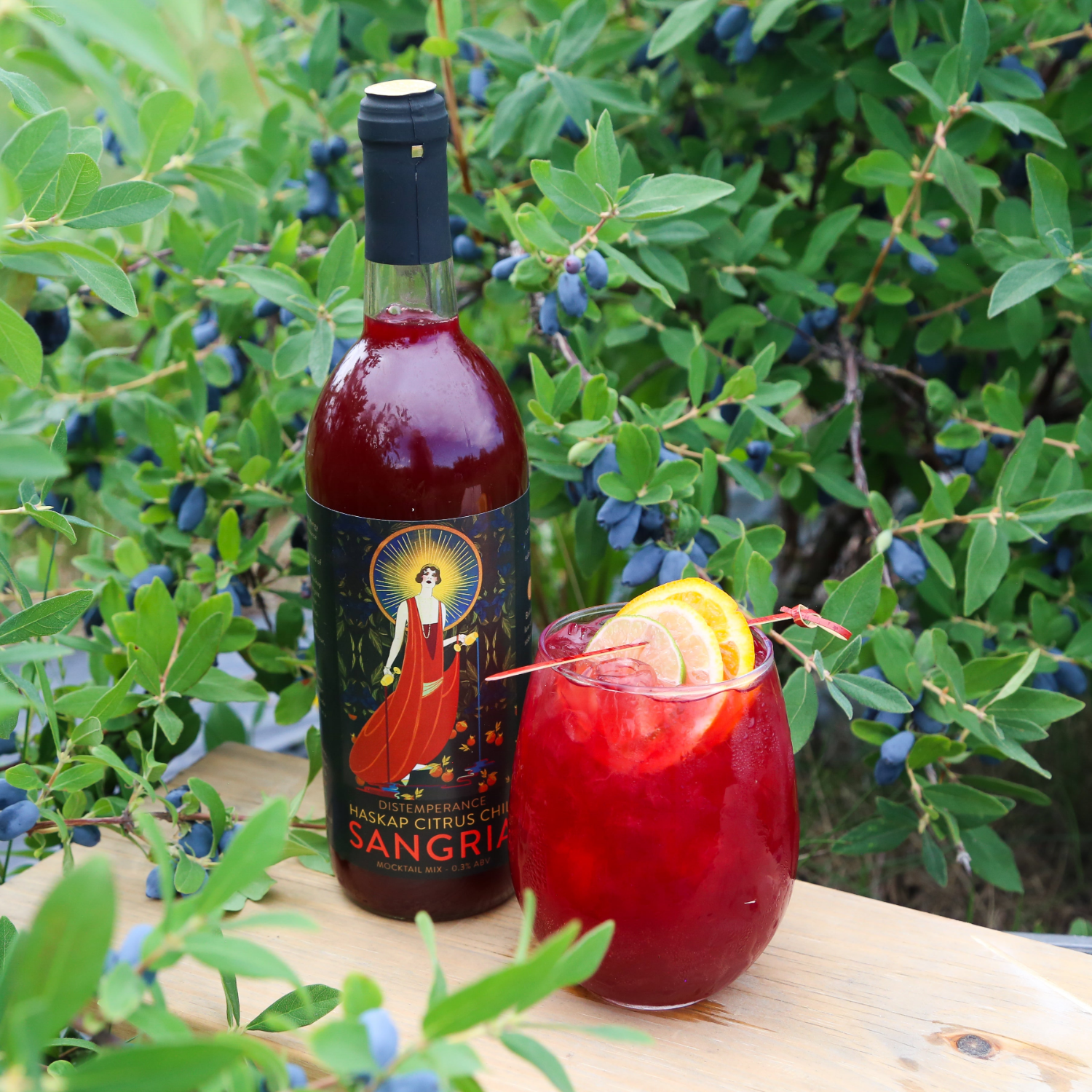 Distemperance Haskap Citrus Chili Sangria Case (12 Units) - Token Bitters
