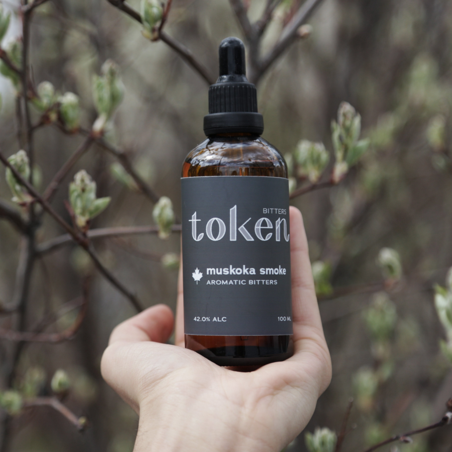 Muskoka Smoke Bitters Case (12 Units) - Token Bitters