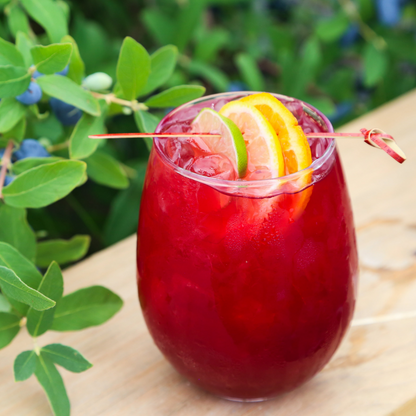 Distemperance Haskap Citrus Chili Sangria Case (12 Units) - Token Bitters