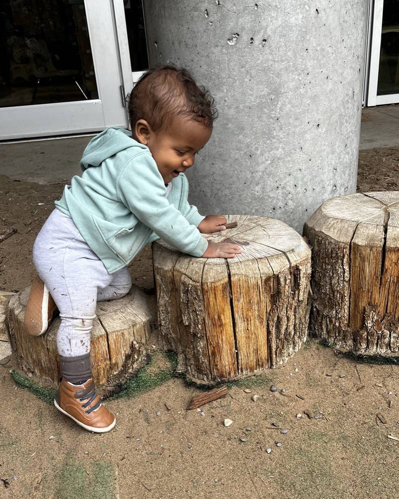 A toddler climbing onto a row of tree stumps
